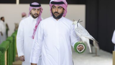 صورة كرنفال الصقارين يشتعل في الخبر.. منافسات الهواة تتصدر مشهد كأس نادي الصقور السعودي 2025