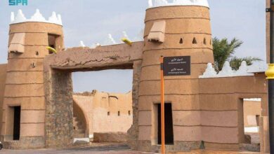 صورة لينة.. القرية التاريخية تستقبل برد الشتاء بعيونها الـ300 ومروجها العشبية في شمال المملكة