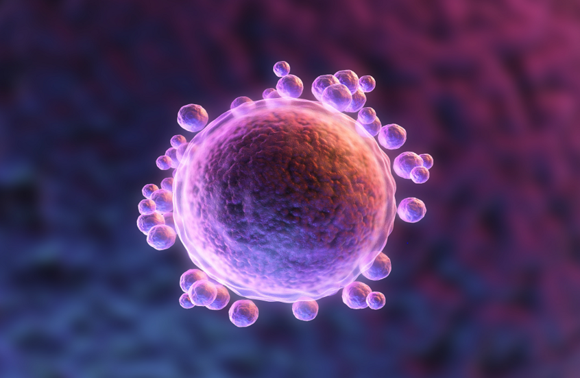 تقدّم عمر المرأة تحت المجهر: كيف يعيد العلم تفسير أسباب فشل الحمل؟