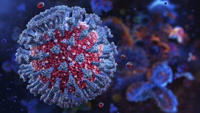 صورة تقدّم عمر المرأة تحت المجهر: كيف يعيد العلم تفسير أسباب فشل الحمل؟