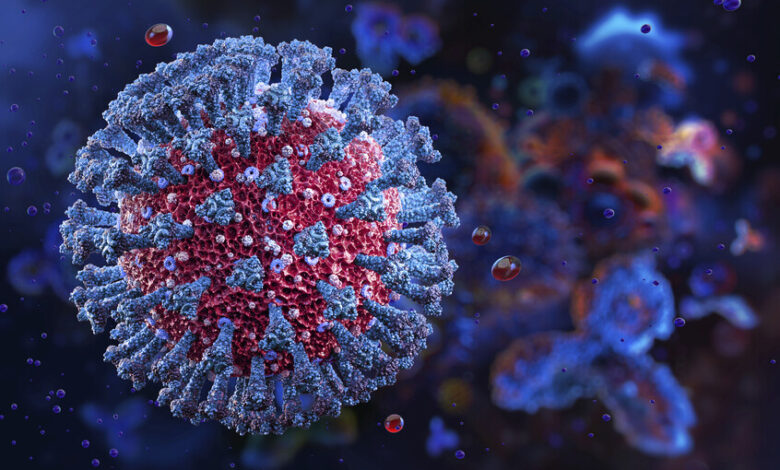 تقدّم عمر المرأة تحت المجهر: كيف يعيد العلم تفسير أسباب فشل الحمل؟