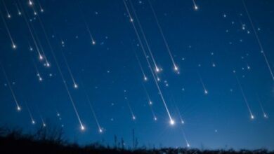 صورة شهب الثوريات تضيء ليل السعودية.. عرض سماوي نادر تحت تأثير القمر