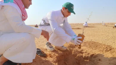 مليون شتلة في الجوف.. "الغطاء النباتي" يطلق أكبر مشروع لإنتاج أمهات البذور وتنمية المراعي الطبيعية