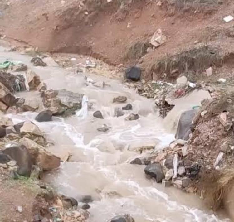 "شجاعة تجرف الخوف".. قصة ثلاثة شبان من الشملي أنقذوا وافدَين صينيَّين من موت محقق