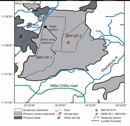 بعد 15 عامًا من الغموض.. العلماء يحسمون هوية القدم المتحجرة الأغرب في تاريخ إفريقيا