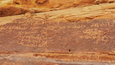 صورة العُلا توثّق التاريخ.. أكبر قاعدة رقمية للنقوش واللغات القديمة ترى النور في السعودية