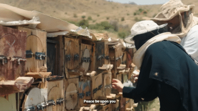 صورة صالحة الألمعي.. صوت عسير الذي حمل خلية النحل من الجبال إلى منصة “بنان” بالرياض