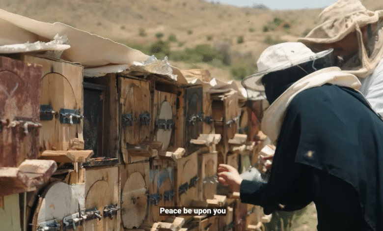 صالحة الألمعي.. صوت عسير الذي حمل خلية النحل من الجبال إلى منصة "بنان" بالرياض