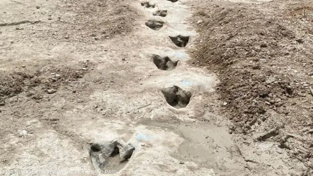 أثار تمشي عبر الزمن… اكتشاف آثار أقدام ديناصورات عمرها 200 مليون عام يفتح نافذة نادرة على ماضي الأرض في الصين