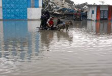 صورة غزة تغرق تحت الأمطار… فيضانات قاتلة تعمّق المأساة الإنسانية وتودي بحياة 14 شخصًا