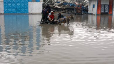 صورة غزة تغرق تحت الأمطار… فيضانات قاتلة تعمّق المأساة الإنسانية وتودي بحياة 14 شخصًا