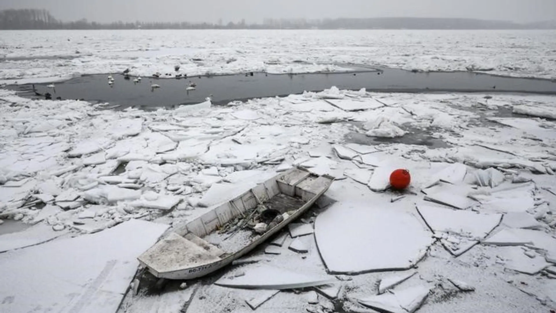 حين يذوب المستقبل أمام أعيننا.. الأرض على أعتاب «ذروة انقراض الأنهار الجليدية» والعالم قد يخسر آلافها سنويًا
