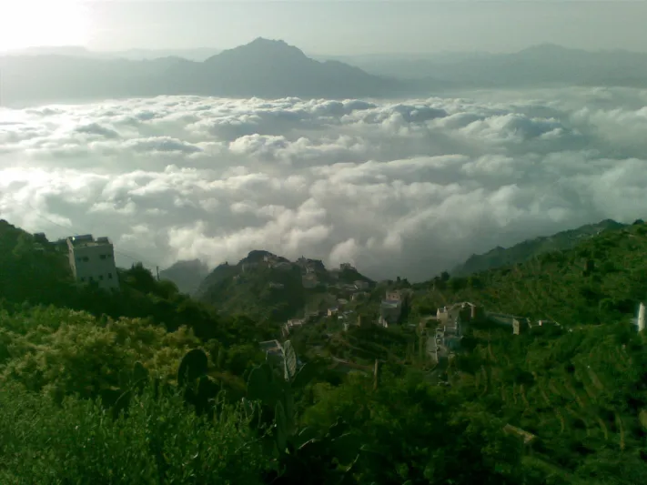 إشادة أممية بجاهزية عسير.. مدن سعودية تقترب من نموذج عالمي لجودة الحياة