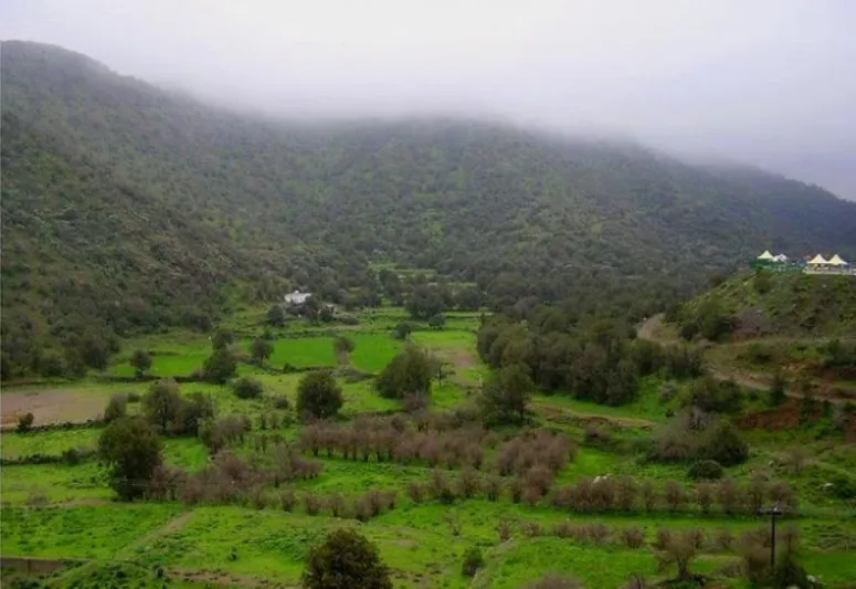 إشادة أممية بجاهزية عسير.. مدن سعودية تقترب من نموذج عالمي لجودة الحياة