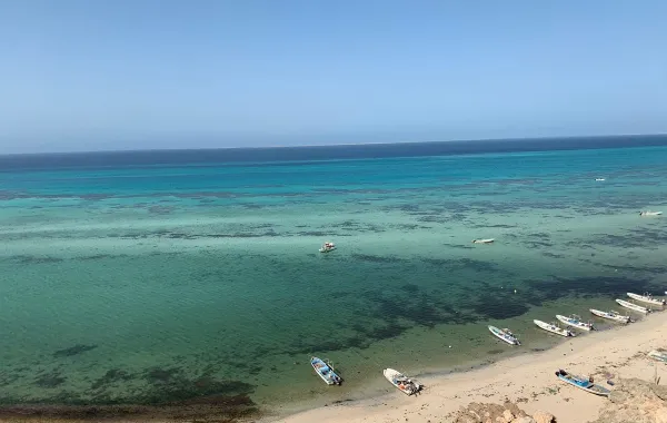 إنجاز بيئي غير مسبوق.. إدراج جزر فرسان ضمن اتفاقية رامسار كأول محمية بحرية سعودية ذات أهمية عالمية