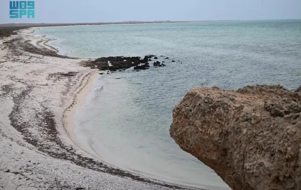 إنجاز بيئي غير مسبوق.. إدراج جزر فرسان ضمن اتفاقية رامسار كأول محمية بحرية سعودية ذات أهمية عالمية