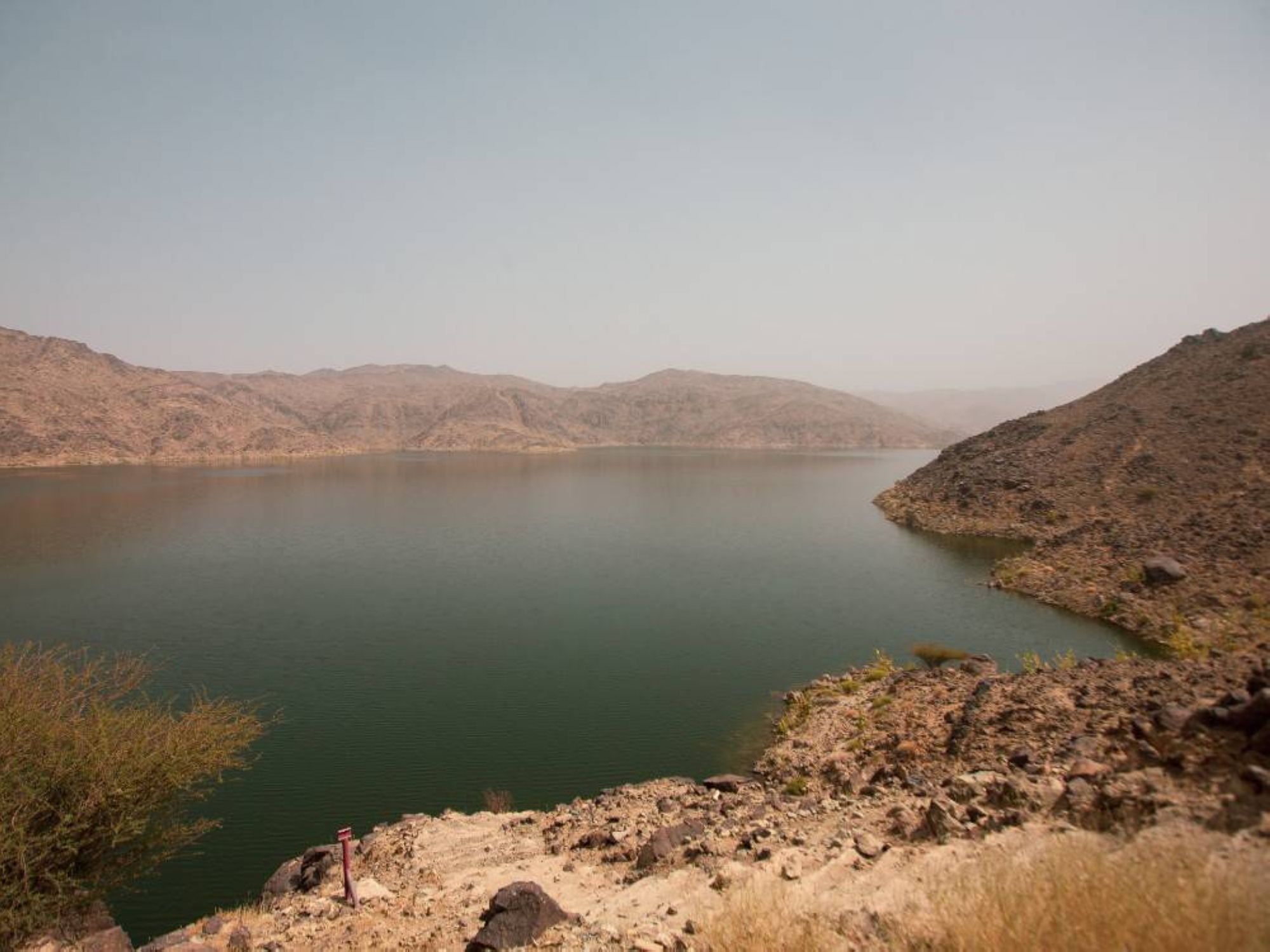 20 مليون ريال تعيد رسم ملامح السلامة على محور وادي بيشة الحيوي 