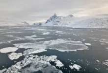 صورة حين يذوب المستقبل أمام أعيننا.. الأرض على أعتاب «ذروة انقراض الأنهار الجليدية» والعالم قد يخسر آلافها سنويًا