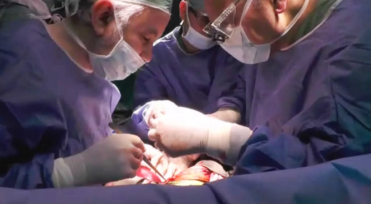 قصة تهزّ القلوب.. منال تهب طفلة حياة جديدة بعد تطابق نادر وفاجعة إنسانية