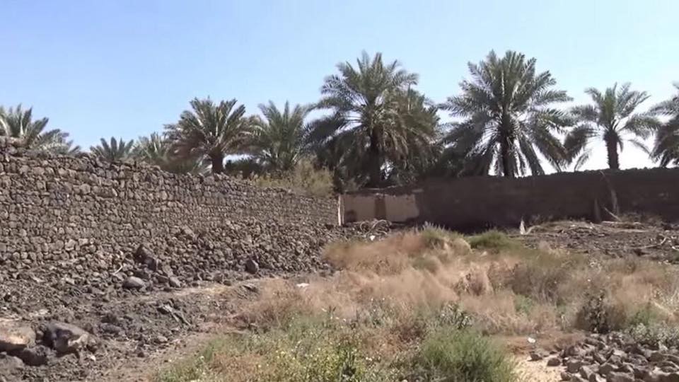 حصن بني واقف.. جدران تروي الشجاعة وذاكرة قبيلة وقفت مع النبي ﷺ في لحظة مصيرية