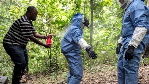 تفشٍ صحي يثير القلق في شرق إفريقيا.. ارتفاع وفيات حمى ماربورغ في إثيوبيا وتوسّع فرق الاستجابة الدولية