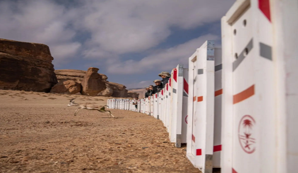 العُلا تعيد الحياة إلى موائلها… إطلاق 37 كائنًا فطريًا في محمية الحِجر ضمن أكبر برامج إعادة التوطين البيئي في المملكة