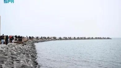 صورة الممر المائي بالموسم يتحول إلى أيقونة سياحية جديدة في جازان