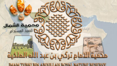 صورة محمية الشمال.. تجربة صيد مستدام تعيد صياغة العلاقة بين الإنسان والطبيعة في قلب البرية السعودية