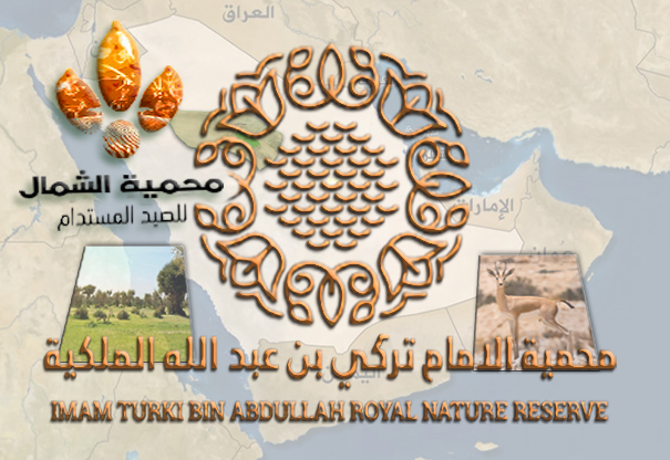 محمية الشمال.. تجربة صيد مستدام تعيد صياغة العلاقة بين الإنسان والطبيعة في قلب البرية السعودية