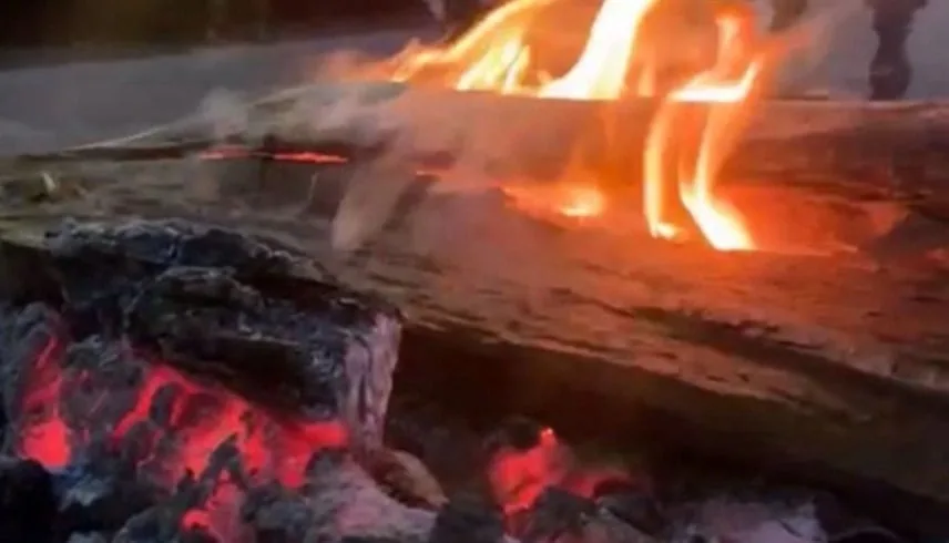 دفء قاتل في الشتاء.. تحذير صحي عاجل من إشعال الحطب داخل الأماكن المغلقة