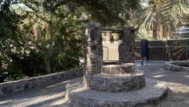 صورة بئر الهُجيم… شاهد ماءٍ صامت على سيرة العابرين في المدينة المنورة