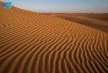 صورة “الربع الخالي” صحراء الأسرار والثروات الطبيعية في قلب الجزيرة العربية