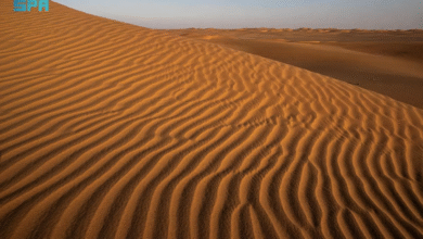 صورة “الربع الخالي” صحراء الأسرار والثروات الطبيعية في قلب الجزيرة العربية