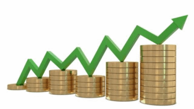 صورة حينما يمتزج الاقتصاد بنكهة الحب