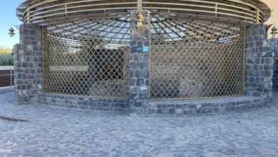 صورة بئر غرس.. ماءٌ مسَّ السيرة وتحول إلى شاهدٍ حي على روح المدينة النبوية