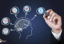 صورة العقل البشري أبعد مما نتصور.. اكتشاف علمي يعيد تعريف الحواس الإنسانية