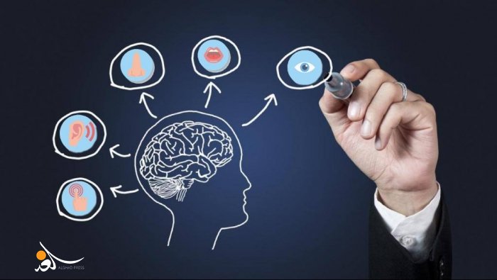 العقل البشري أبعد مما نتصور.. اكتشاف علمي يعيد تعريف الحواس الإنسانية