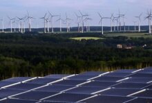 صورة عام الانتصارات الخضراء.. كيف قلب 2025 موازين المناخ من القضاء إلى الطاقة النظيفة