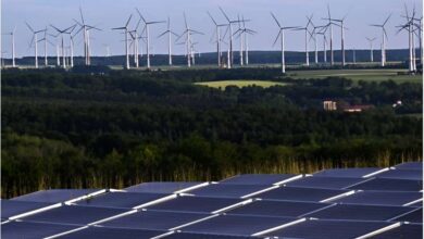 صورة عام الانتصارات الخضراء.. كيف قلب 2025 موازين المناخ من القضاء إلى الطاقة النظيفة