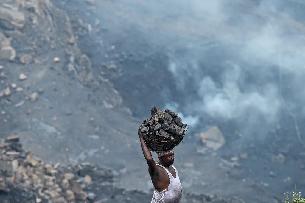 عام الانتصارات الخضراء.. كيف قلب 2025 موازين المناخ من القضاء إلى الطاقة النظيفة