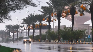 صورة أمطار قياسية تضرب الرياض خلال 24 ساعة.. شقراء تسجل الأعلى بـ47 ملم