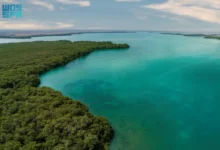 صورة إنجاز بيئي غير مسبوق.. إدراج جزر فرسان ضمن اتفاقية رامسار كأول محمية بحرية سعودية ذات أهمية عالمية