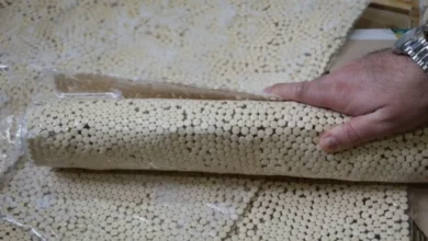 صورة شبكات الظل تحت المجهر.. سورية تحبط محاولة تهريب 26 ألف حبة كبتاغون باتجاه السعودية