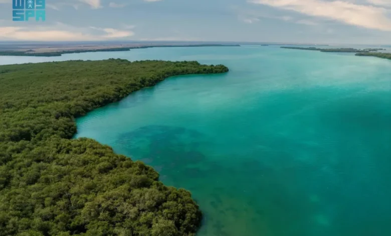 إنجاز بيئي غير مسبوق.. إدراج جزر فرسان ضمن اتفاقية رامسار كأول محمية بحرية سعودية ذات أهمية عالمية