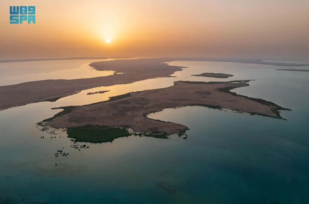 إنجاز بيئي غير مسبوق.. إدراج جزر فرسان ضمن اتفاقية رامسار كأول محمية بحرية سعودية ذات أهمية عالمية