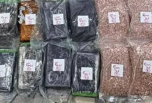 صورة تعاون أمني سعودي لبناني يطيح بمعمل مخدرات استهدف تهريب السموم إلى المملكة