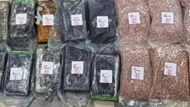 صورة تعاون أمني سعودي لبناني يطيح بمعمل مخدرات استهدف تهريب السموم إلى المملكة