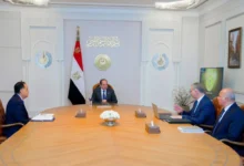 صورة مصر تفتح كنوزها المدفونة.. أول مسح جوي شامل للثروات المعدنية منذ 40 عامًا