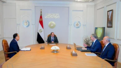 صورة مصر تفتح كنوزها المدفونة.. أول مسح جوي شامل للثروات المعدنية منذ 40 عامًا