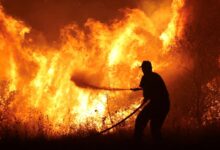 صورة 18 قتيلًا في حرائق غابات تشيلي وإعلان حالة كارثة وسط تحذيرات من تصاعد الخسائر